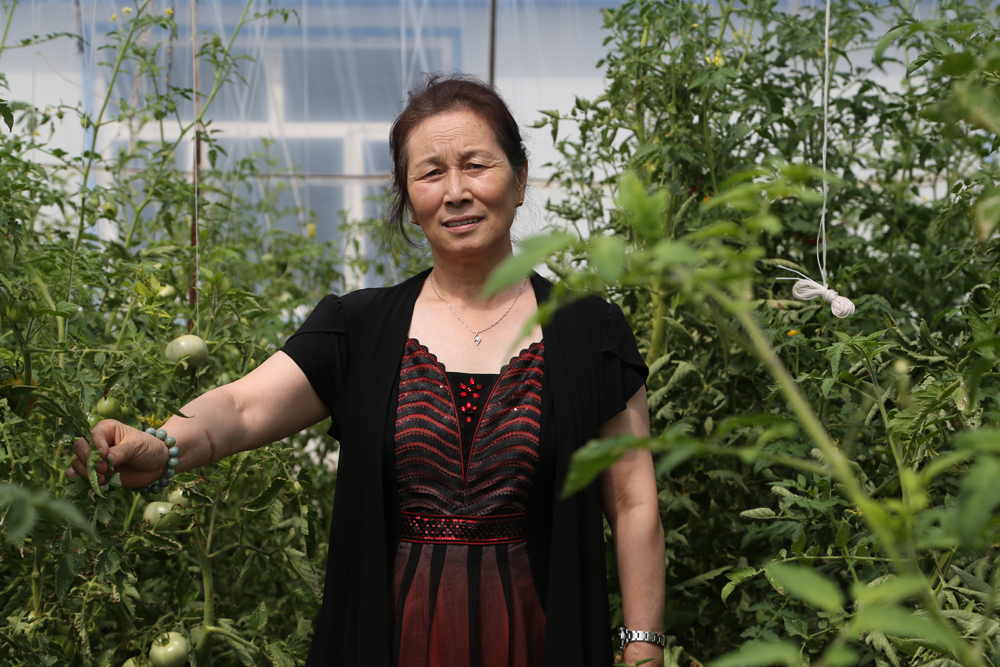 平博·pinnacle(中国集团)官方网站