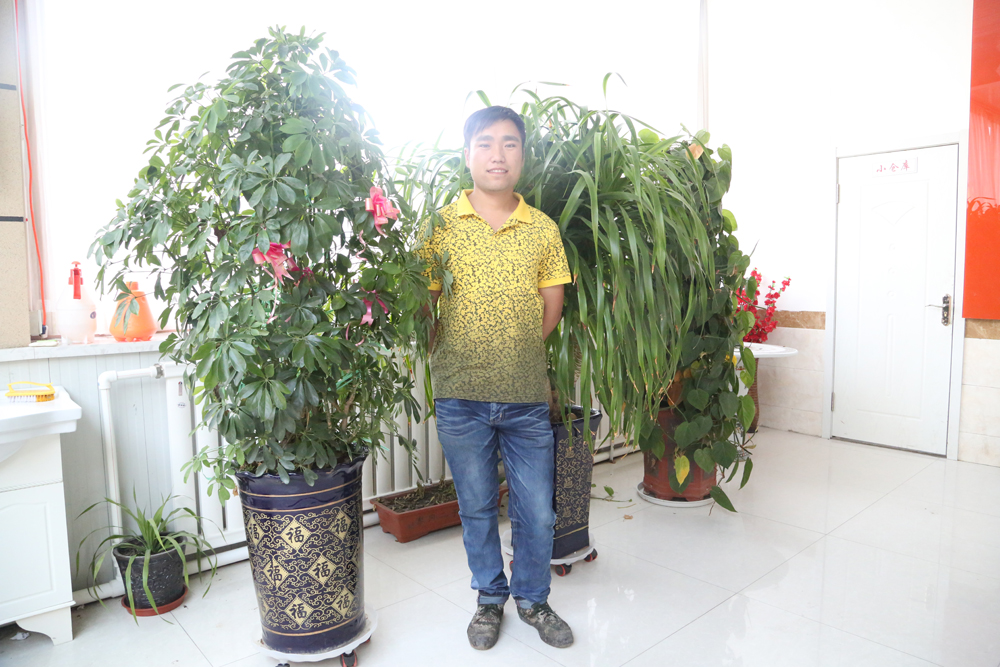 平博·pinnacle(中国集团)官方网站