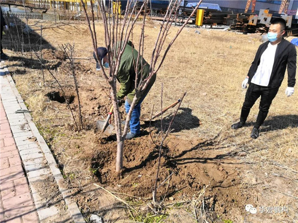 平博·pinnacle(中国集团)官方网站